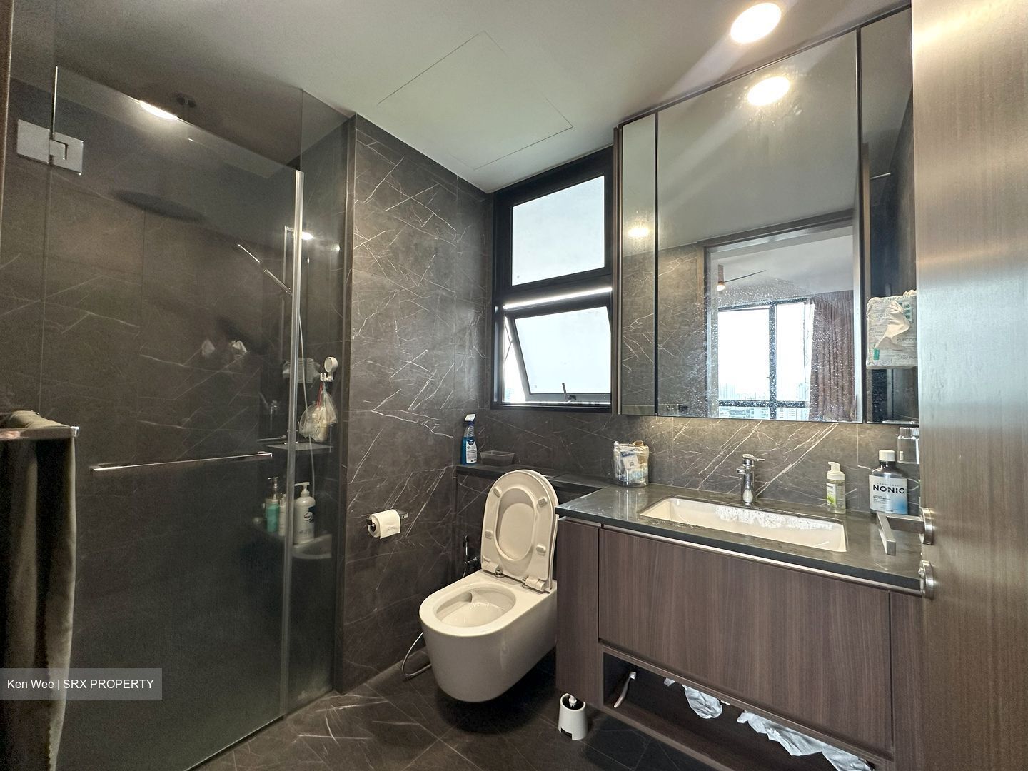 Kopar At Newton (D9), Apartment #472590251